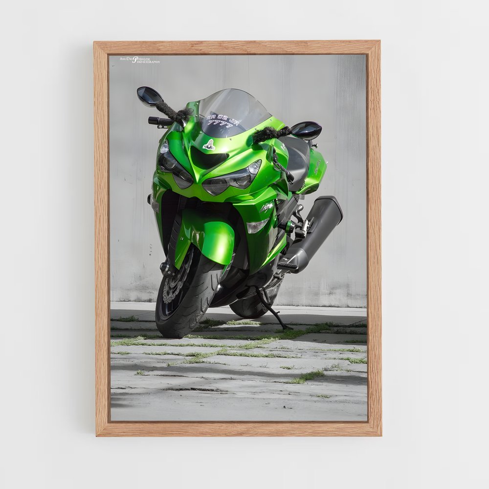 Poster Ninja Vert (vue 4)